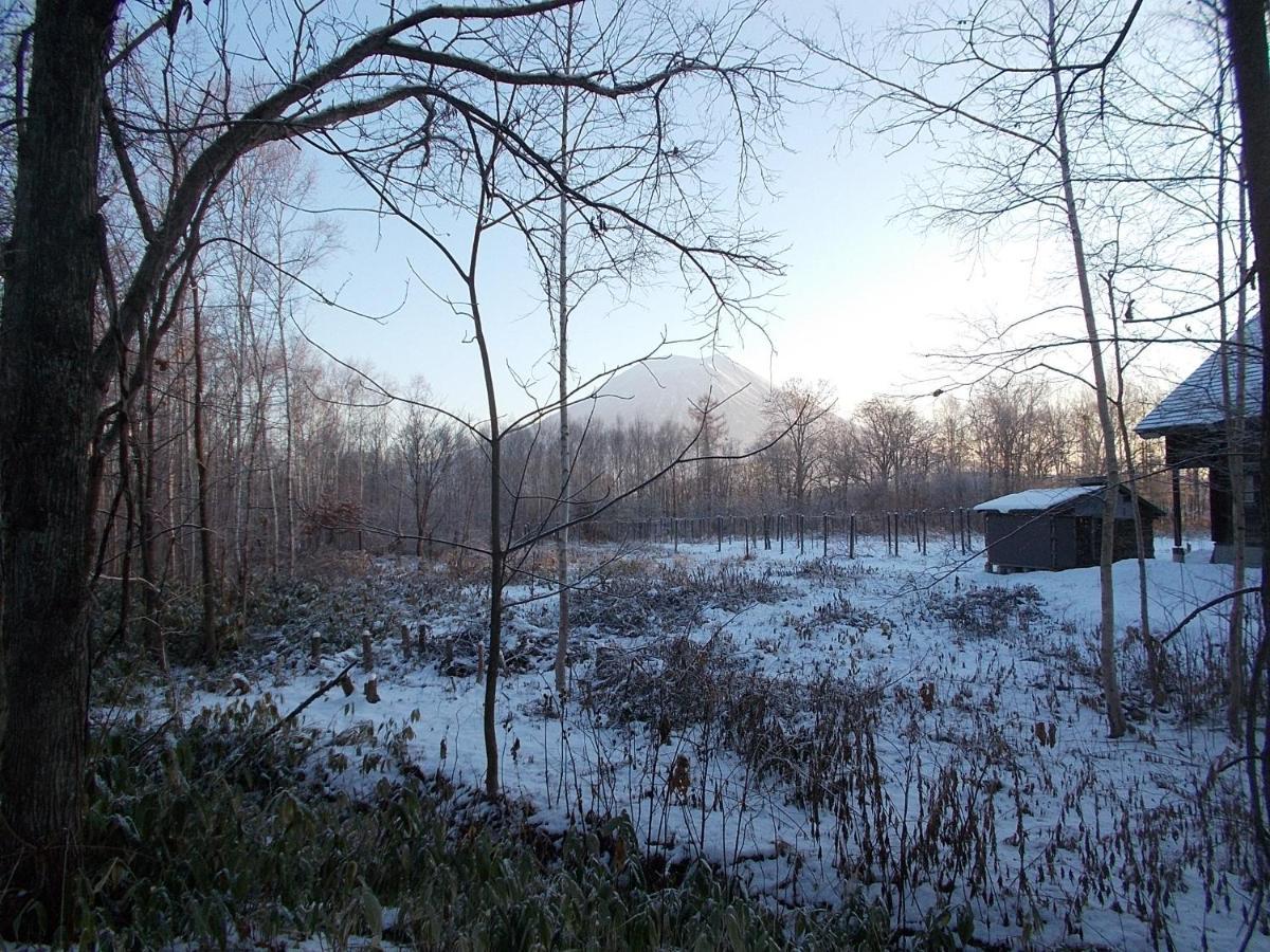 Niseko Shirokuma Cottage Esterno foto